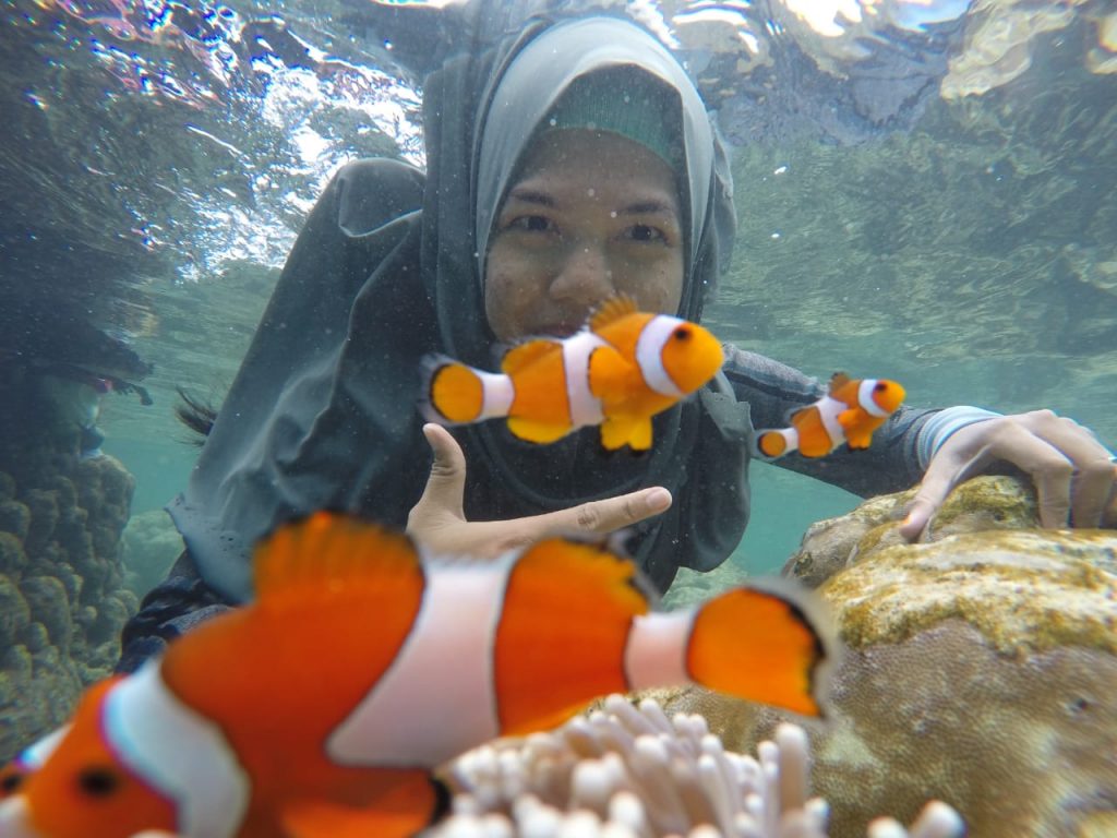 Nemo Pahawang Lampung
